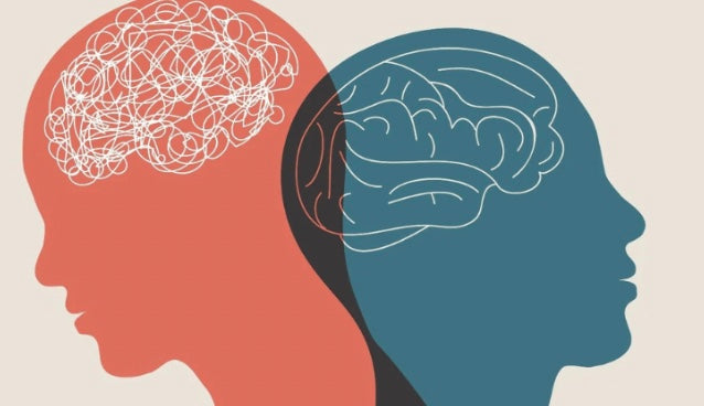 how to read nutrition facts and ingredient list