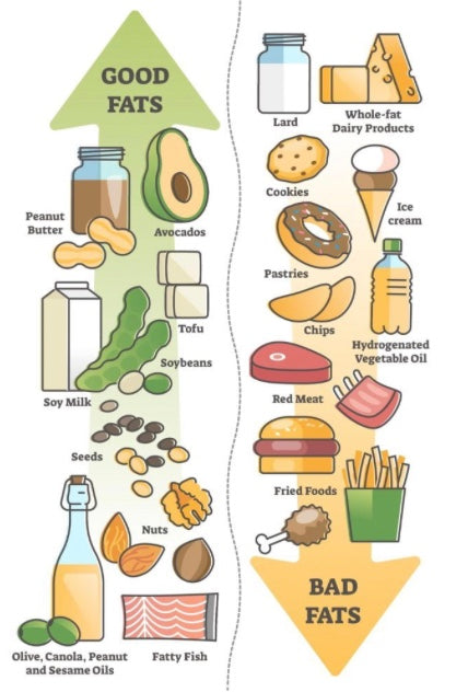 How Does Nutrition Affect Our Hormones?