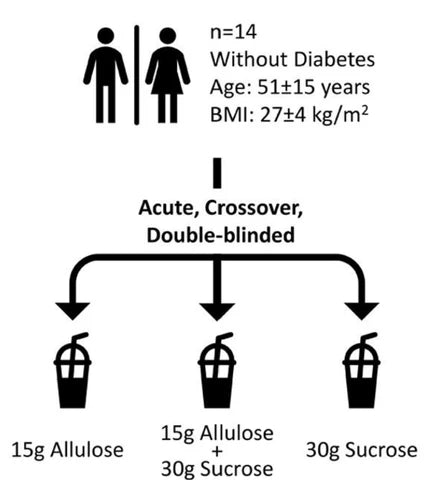 A graphic of a study performed on non-diabetic adults.